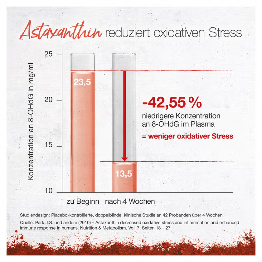 Astaxanthin reduziert oxidativen Stress: Klinische Studie zeigt 42,55 % niedrigere 8-OHdG-Konzentration nach 4 Wochen