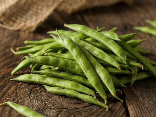 Guar Gum Bohnen – natürlicher Rohstoff für PHGG präbiotischen Ballaststoff