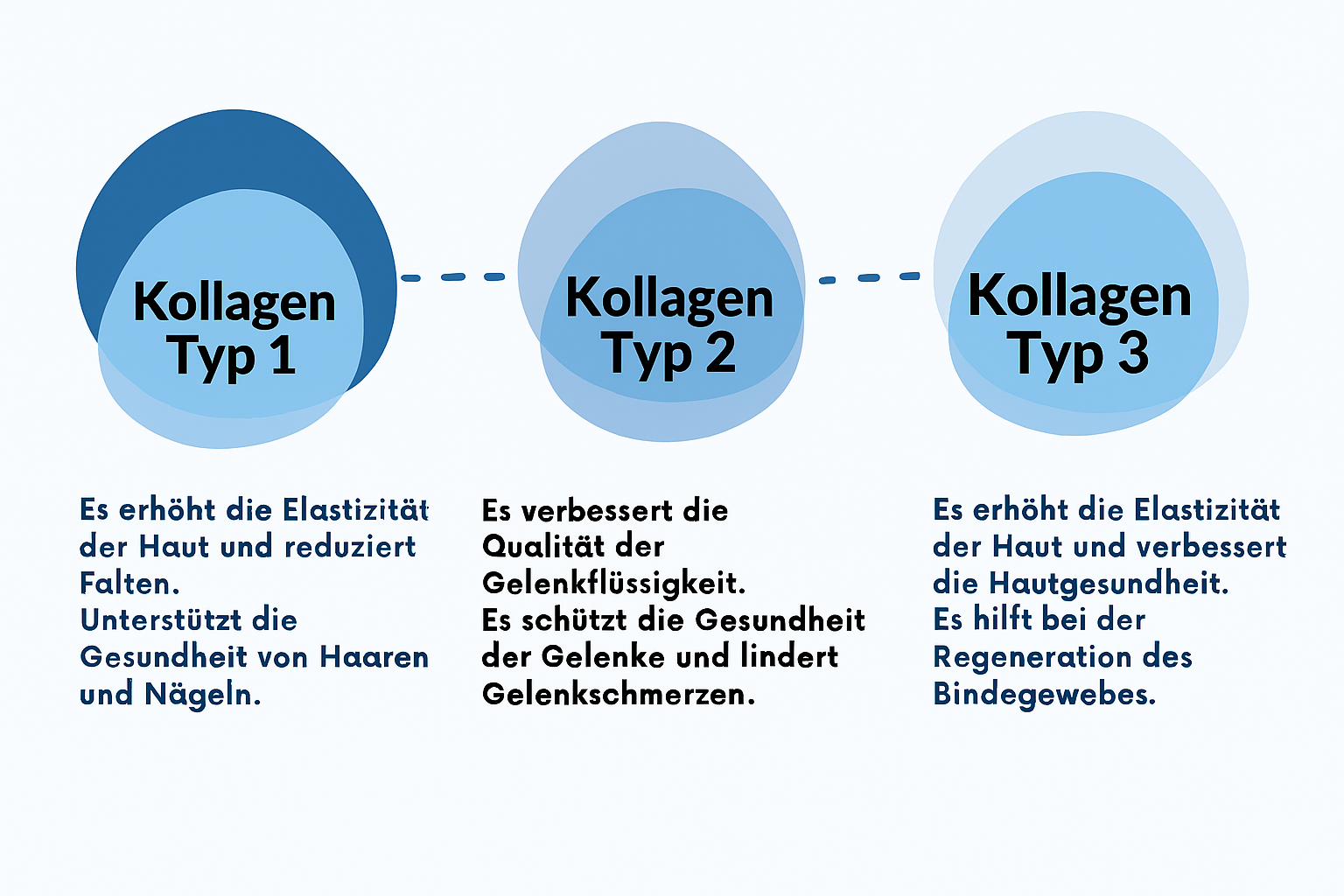 Die drei Kollagentypen und ihre Wirkung im Überblick