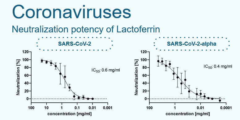 Coronaviruses - Neutralization potency of Lactoferrin